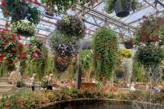 IMG-20250924-WA0019