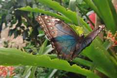 IMG-20250924-WA0021