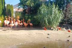 IMG-20250924-WA0022