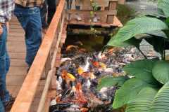 IMG-20250924-WA0023