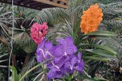 IMG-20250924-WA0024
