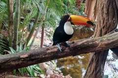 IMG-20250924-WA0025