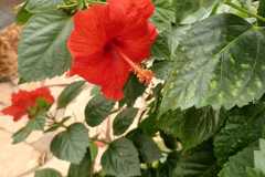 IMG-20250924-WA0027