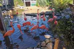 IMG-20250924-WA0048