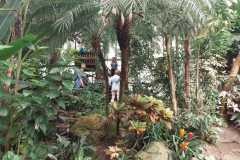 IMG-20250924-WA0051