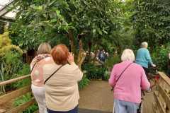 IMG-20250924-WA0052
