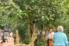 IMG-20250924-WA0053