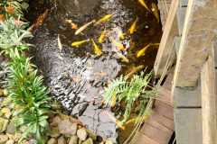 IMG-20250924-WA0054